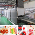 Automatic complete Jelly/soft candy confectionery machinery